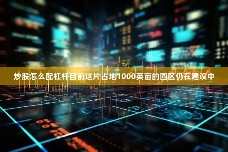 炒股怎么配杠杆目前这片占地1000英亩的园区仍在建设中
