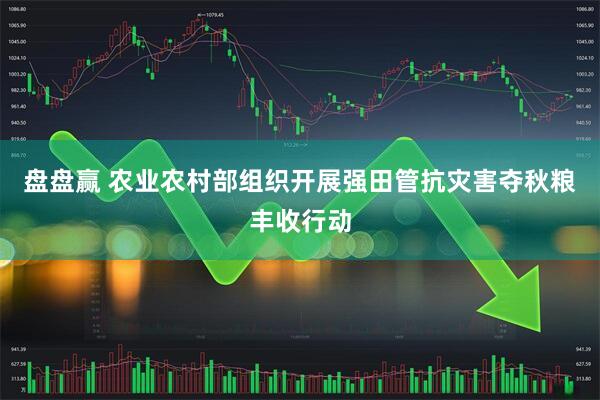 盘盘赢 农业农村部组织开展强田管抗灾害夺秋粮丰收行动